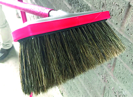 World Enterprises Hog's Hair Brush, Brushes