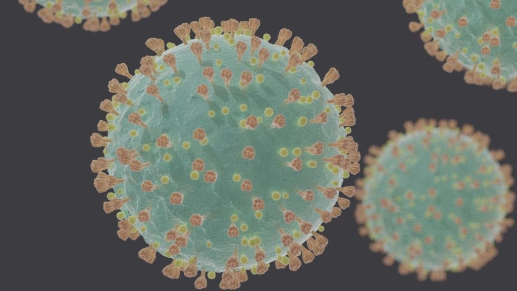 coronavirus magnified