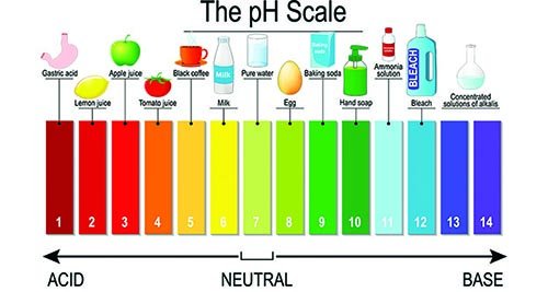 pH Scale