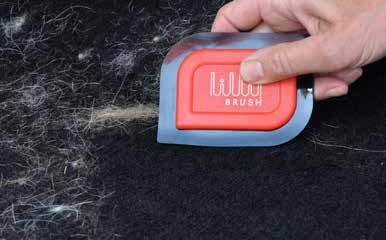 Lilly Brush The Auto Pet Hair Detailer